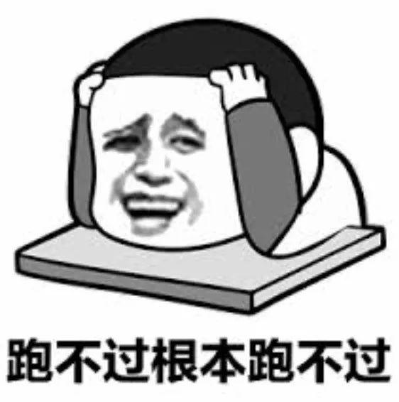 澳洲警察开什么车,澳洲警察高速公路追车