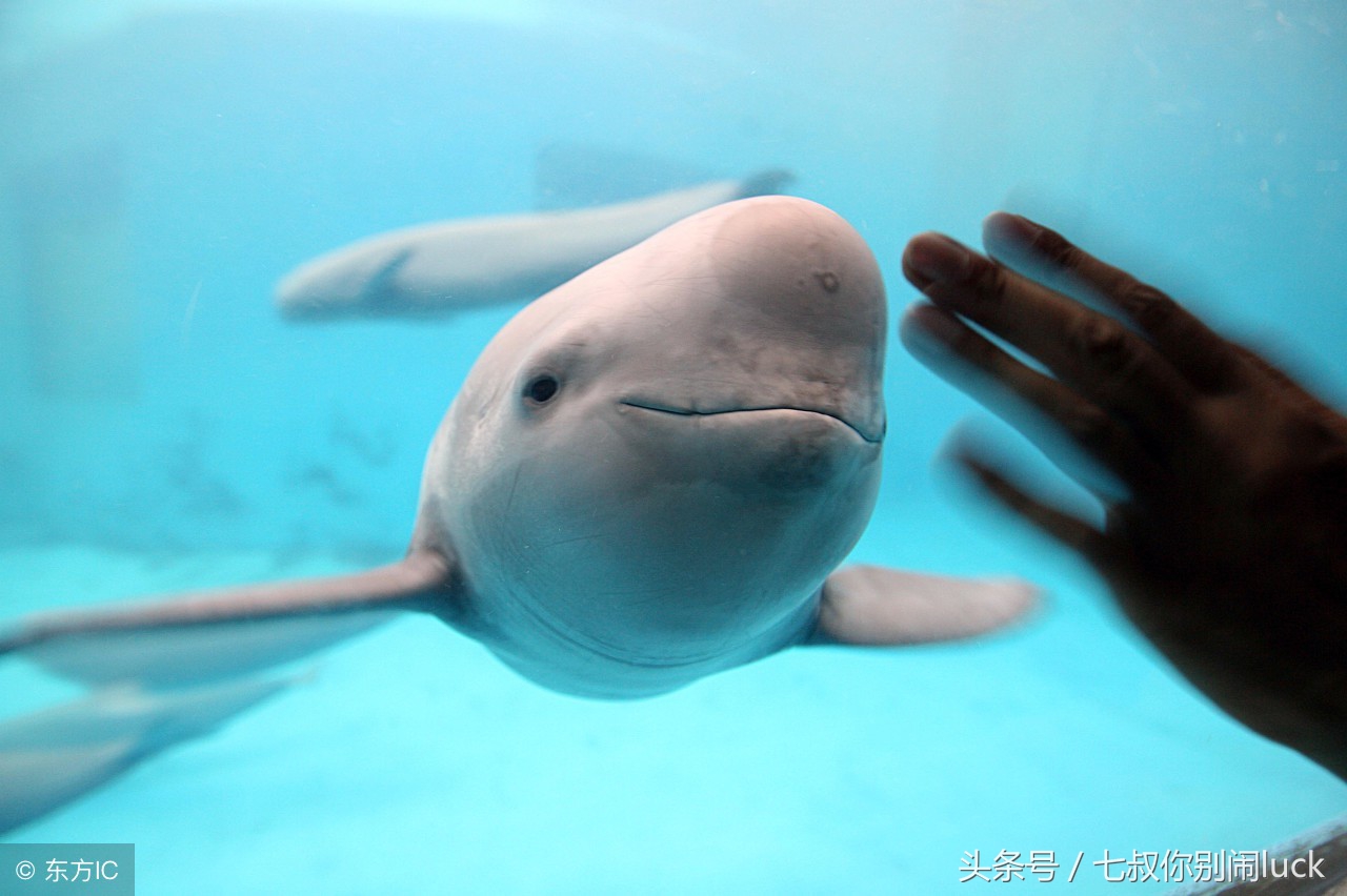 朋友圈低价卖完什么套路,朋友圈里卖低价服装的真相