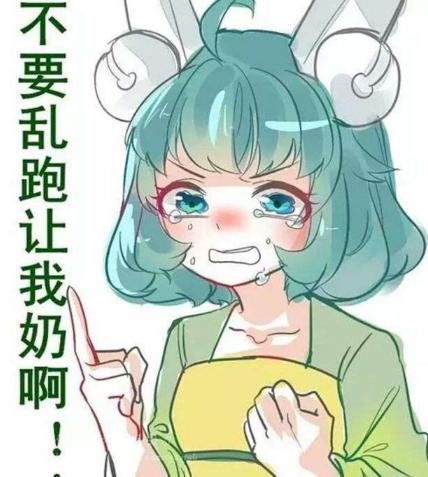 蔡文姬的足球皮肤是什么样的,蔡文姬足球皮肤会优化吗