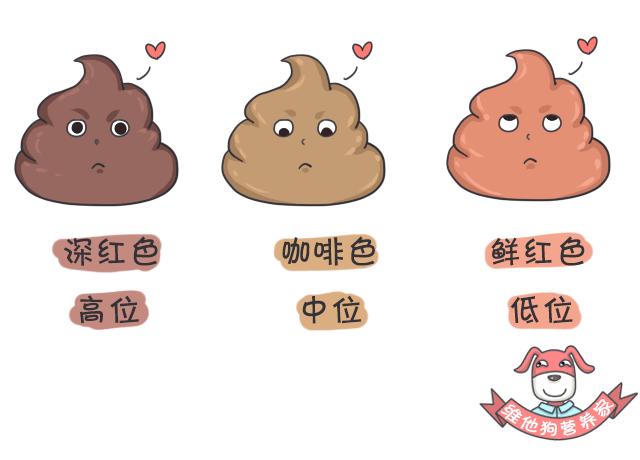 好便便or坏便便儿科医生教你区分,宝宝便便常见问题答疑