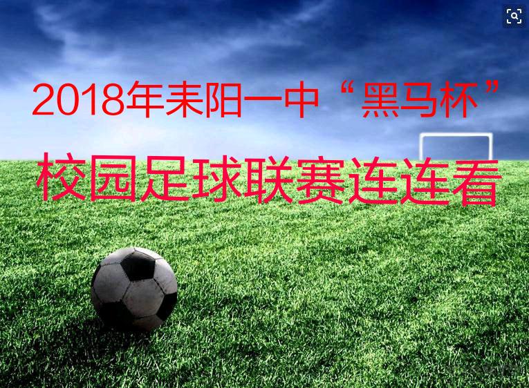 耒阳一中2018足球比赛,学校校园足球联赛赛程表