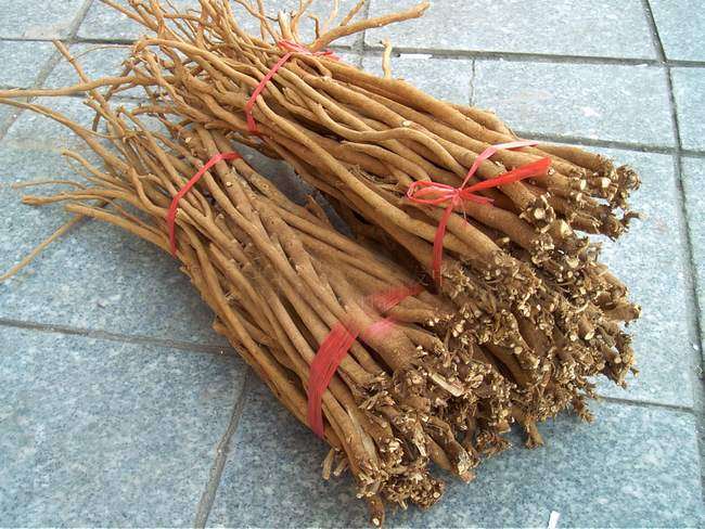 农村一种野草山上常见,山里有一种野菜