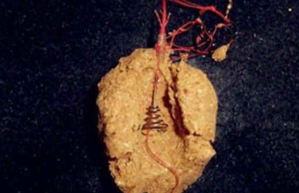 海竿爆炸钩用什么饵料钓鲤鱼草鱼,海竿钓鲫鱼用几号爆炸钩