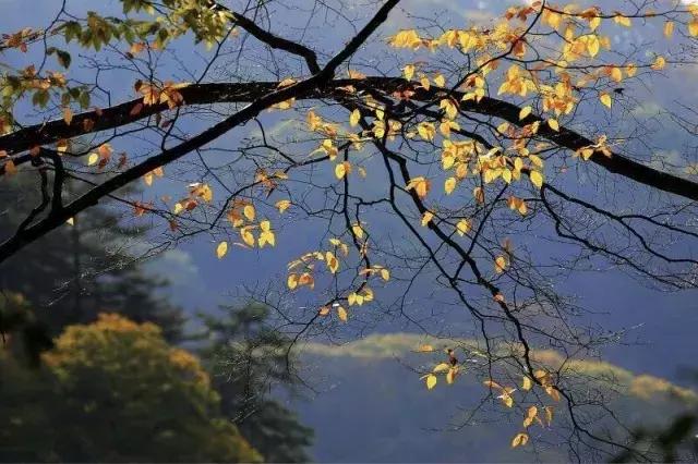 巩义夏天有什么可去地方没,巩义夏季好去处