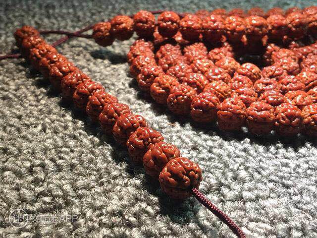 小金刚菩提如何快速清理干净,小金刚快速深度清理方法