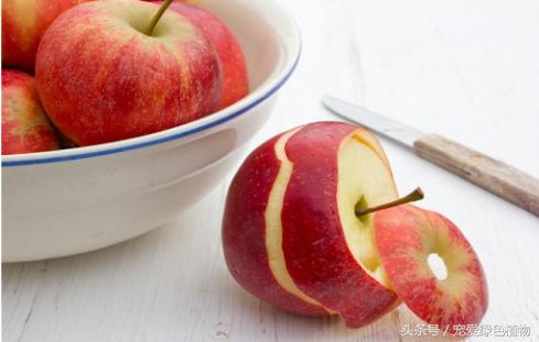 栀子花专用营养液防黄叶促开花,栀子花黄叶不开花营养液