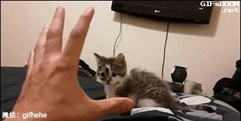 星球大战十大最差电影,今日影评猩球崛起