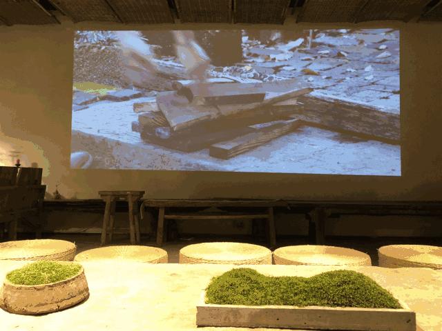 杭州未来生活节预约,杭州国际未来生活节