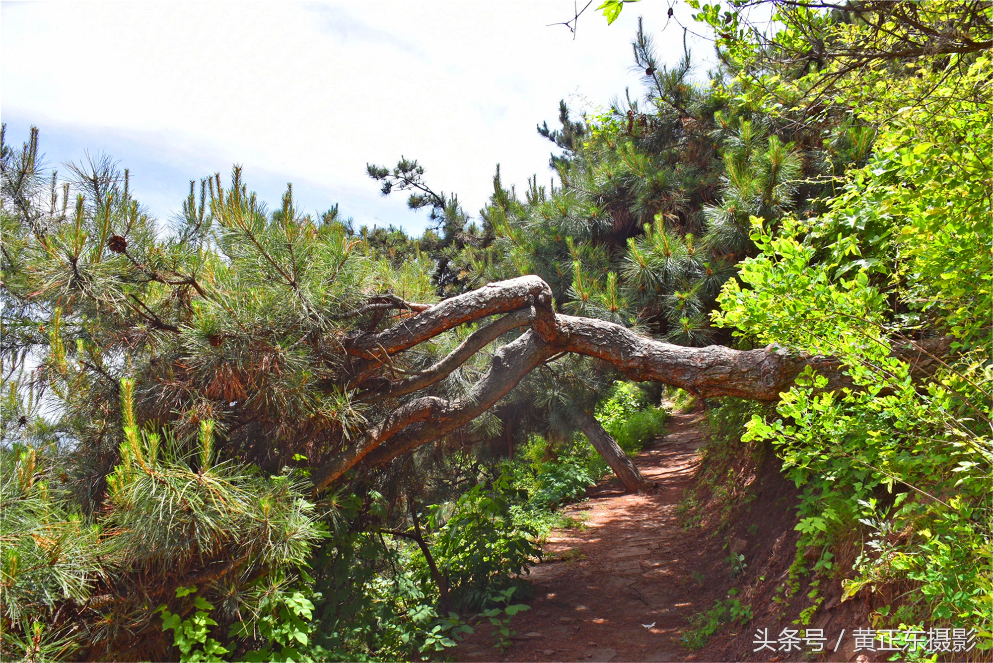 发鸠山旅游攻略,发鸠山神话故事有哪些