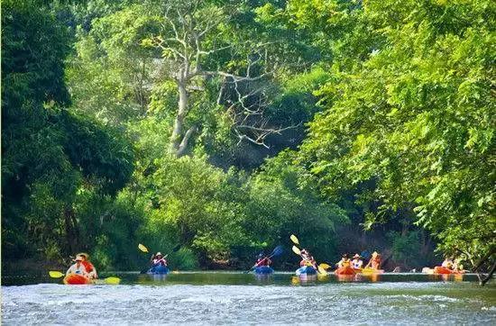 西双版纳旅游发展趋势,世界文化旅游名城西双版纳