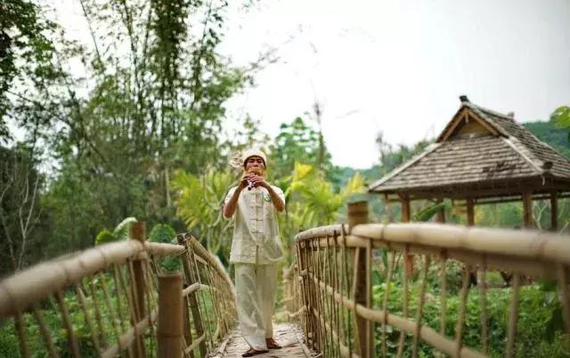 西双版纳旅游发展趋势,世界文化旅游名城西双版纳