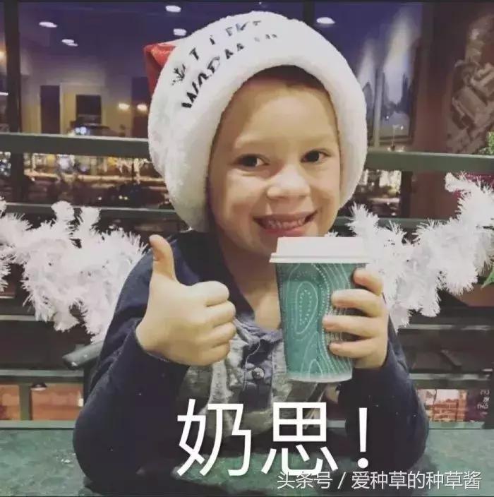 洗面奶到底哪款好用又实惠,哪款洗面奶好用又不贵