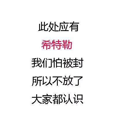 大众甲壳虫你喜欢吗,大众甲壳虫车友聚会