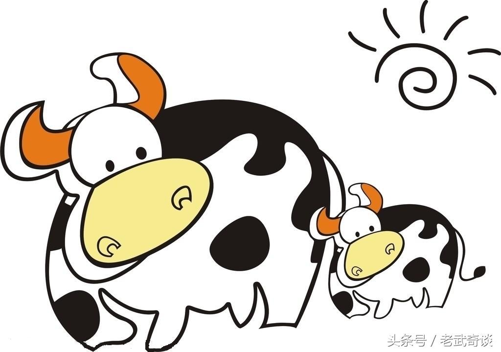 世界杯梦之队,世界杯梦之队2008