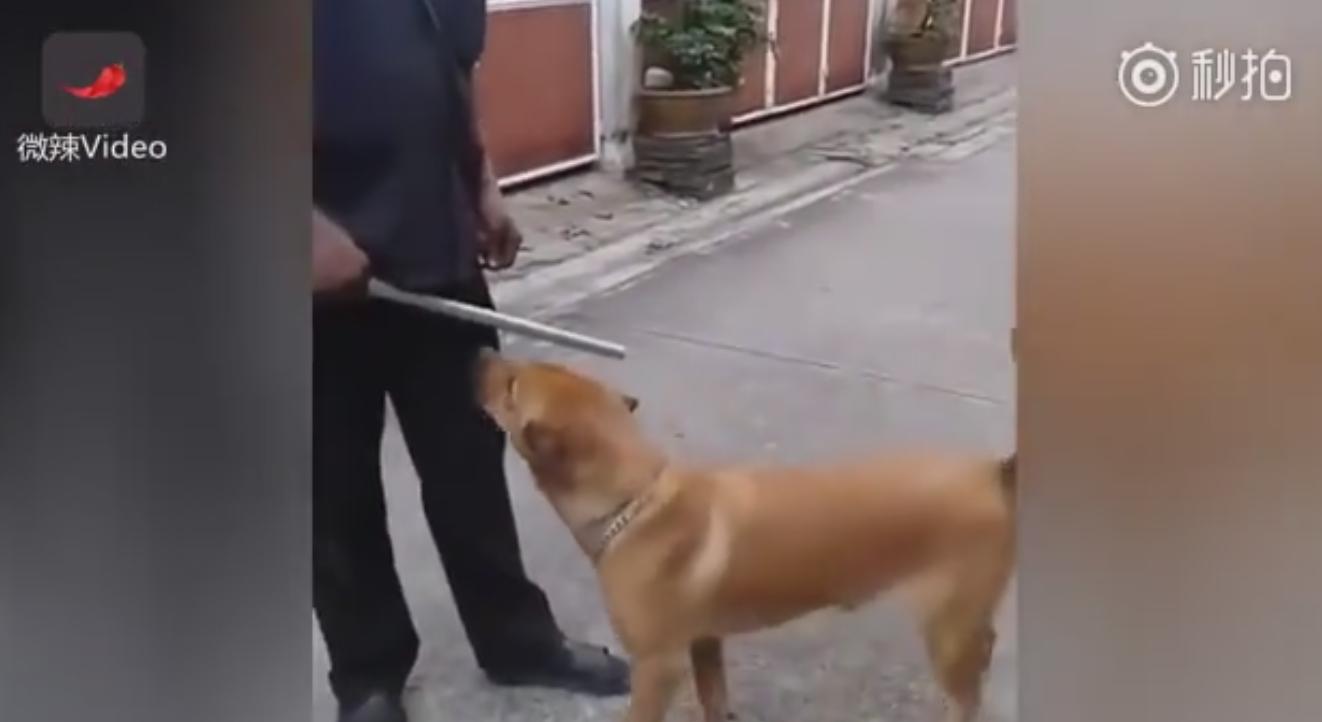 男子科二考试打电话给教练,男子学车碰到教练