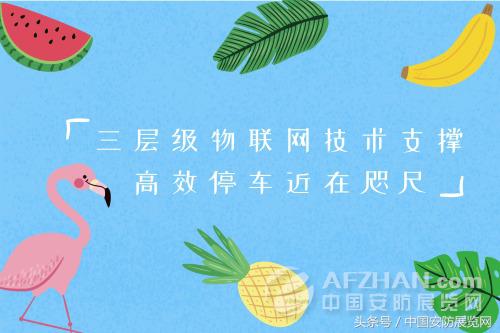 物联网技术停车,物联网智慧停车案例