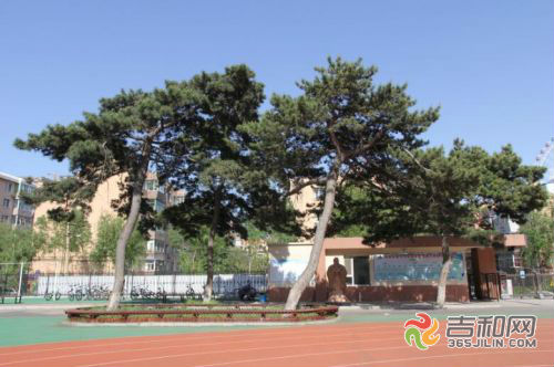 长春市构建新发展格局具体内容,长春市第七中学建校日