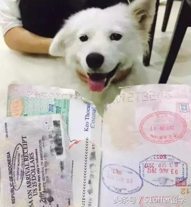 护照出入境记录有问题,护照出入境要注意什么