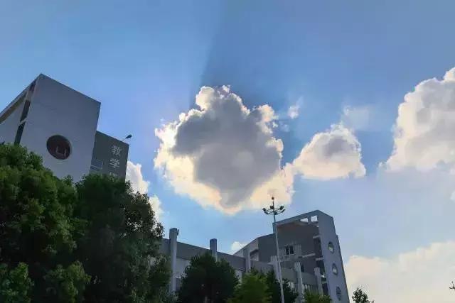 阜阳五中在哪个位置,阜阳五中属于什么档次