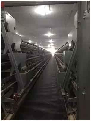 这就是中企！曾经让大家揪心不已的那个铜矿，稳了