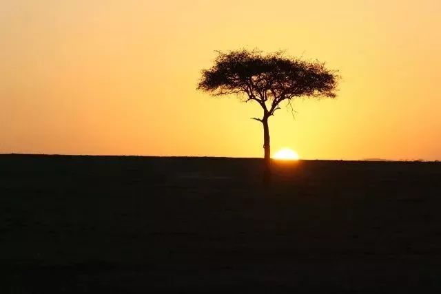 中国股市a股到底见底没有,a股全线下挫沪指失守