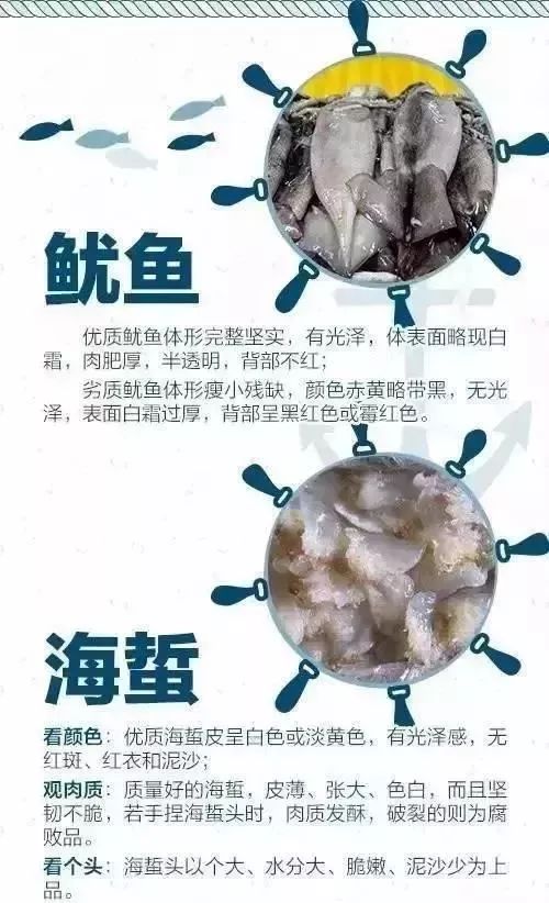 海鲜美食分享吃货日常,美食分享吃海鲜视频