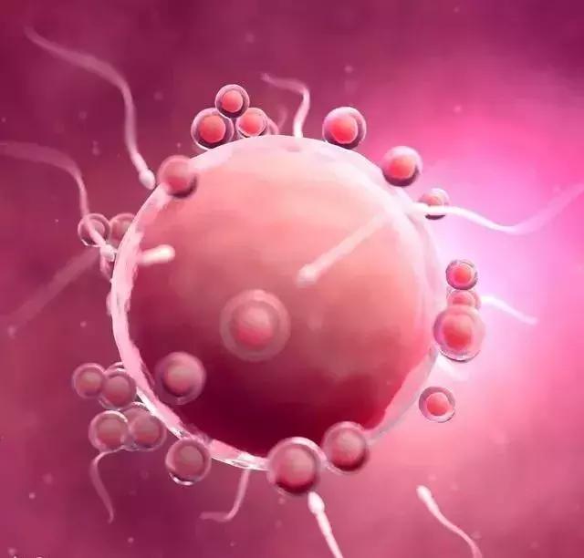 频繁遗精导致不孕不育能治好吗,频繁遗精久了会不孕不育吗