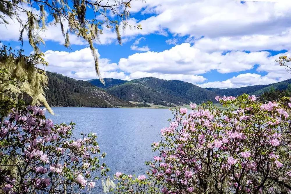 6月份去云南特价机票,昆明出发旅游特价机票