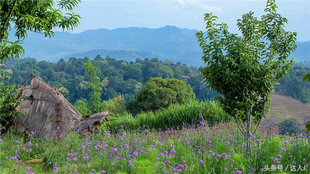 清迈民谣小清新,清迈清新小院