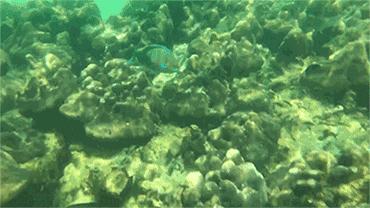 人在囧途通关攻略,人在囧途之历险