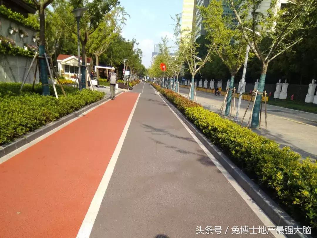 为什么上海明珠小学这么厉害,明珠小学上海校区