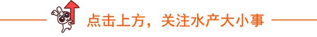 鱼敏感用什么药最好,淡水鱼敏感