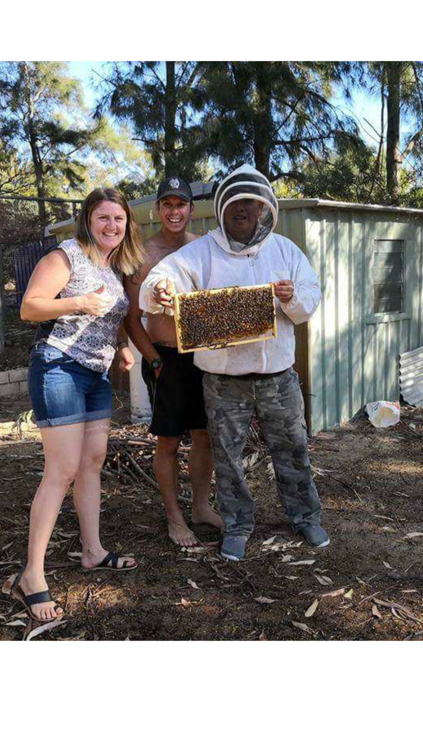 西澳洲（Homney）佳蜜产品—Jarrahhoney