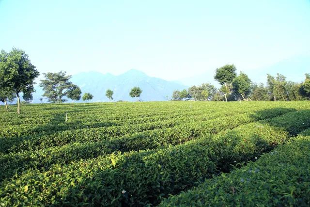 燃脂阻断,6个动作燃脂塑形保持紧致好身材