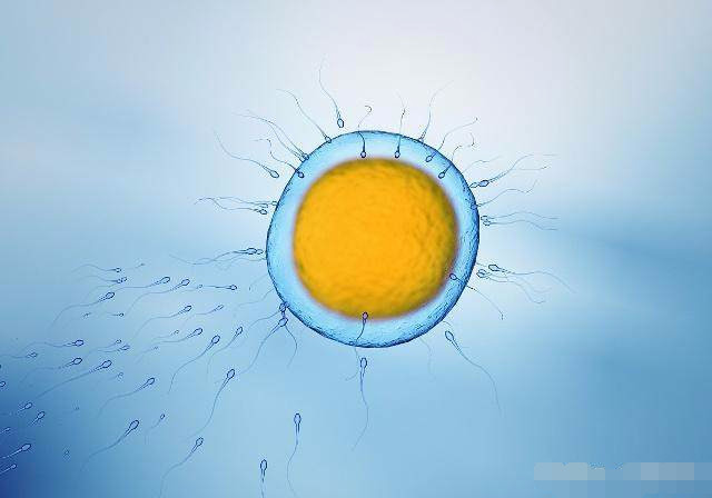 月经正常怀不上做哪些检测,月经正常却怀不上怎么回事