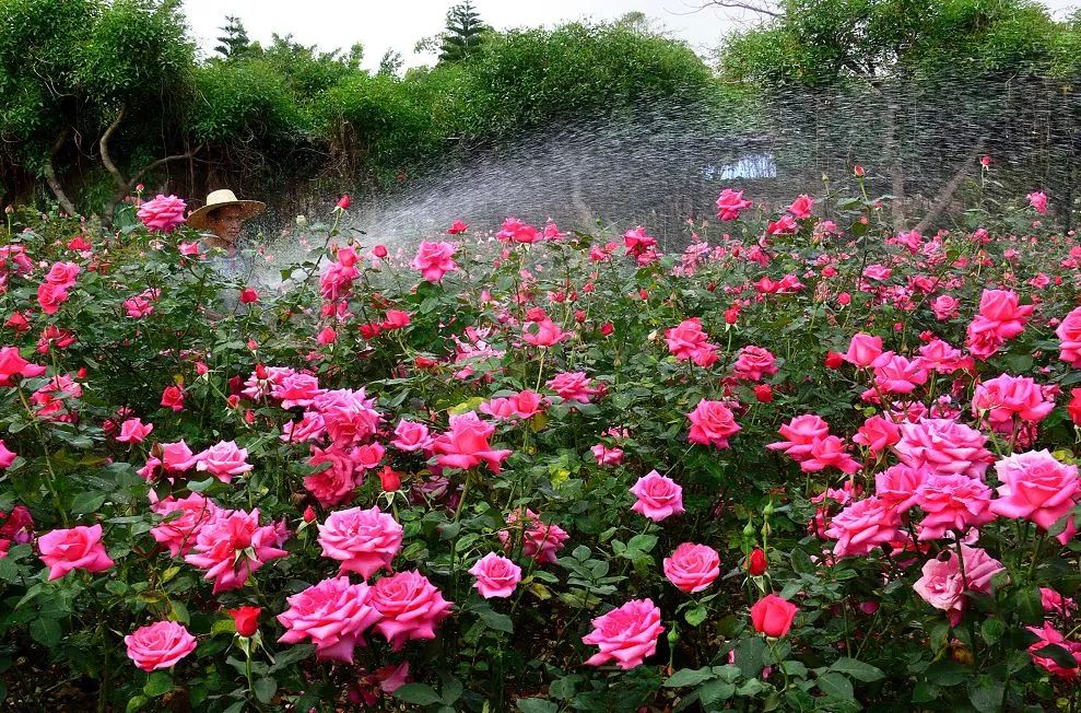 广州户外亲子游玩好去处,广州适合亲子旅游的地方