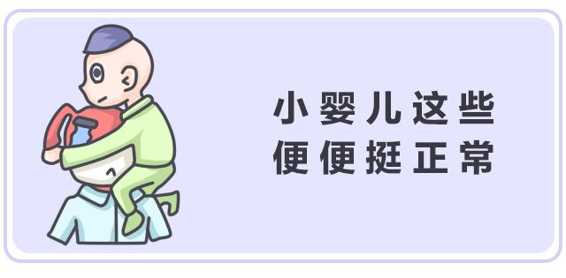 令人困扰的便便儿童科普,关于便便的小知识