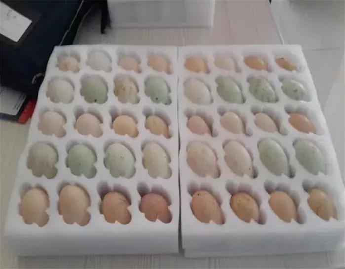 乡村振兴之美丽乡村建设调研,农城微旅