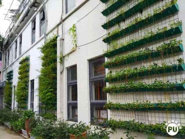 有一条街，叫明心路