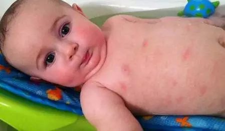 汤圆小宝宝的日常,汤圆宝宝视频全集