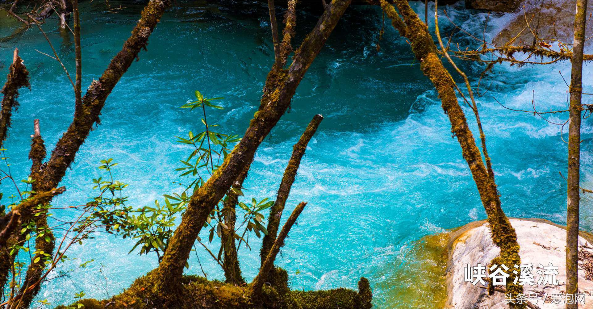 雅安川西竹海必去的三个地方,雅安东拉山大峡谷游记