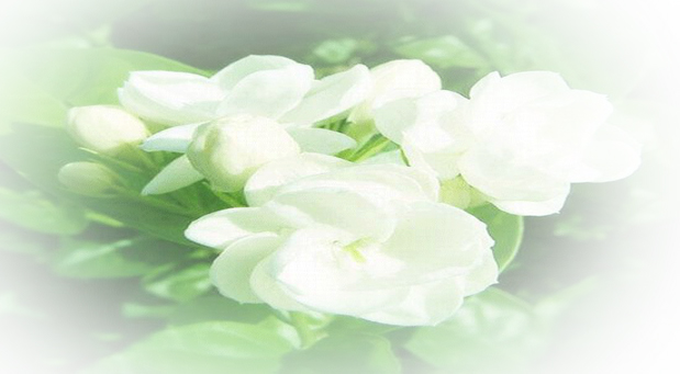 闆ㄥ悗鍒濇櫞鏄ュ厜鏄庡獨,闆ㄥ悗鍒濇櫞鏄ユ剰鐩庣劧