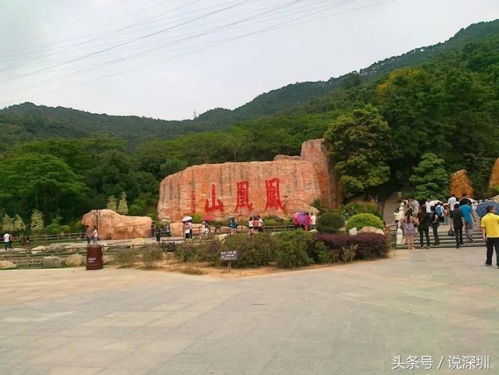 深圳凤凰山好不好玩,深圳凤凰山可以上去了吗