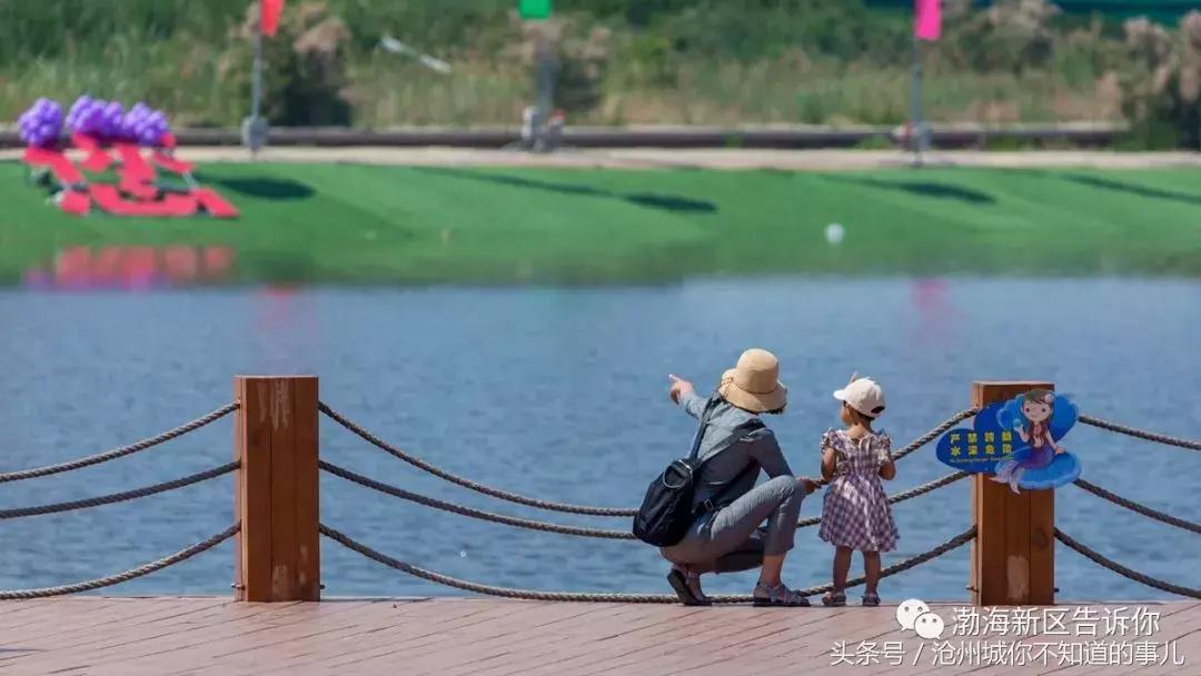 沧州黄骅贝壳湖公园,沧州贝壳湖景区