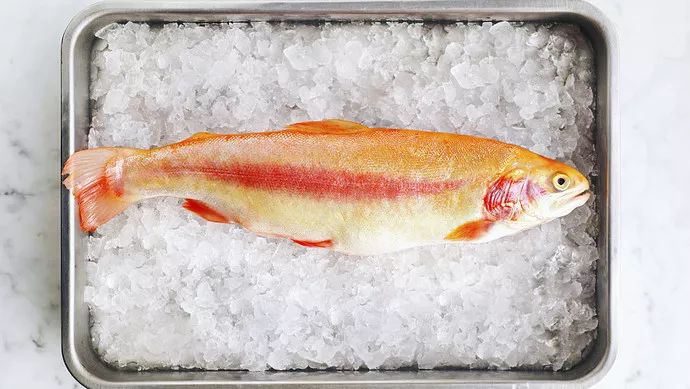 假三文鱼身上有寄生虫吗,三文鱼有寄生虫案例吗