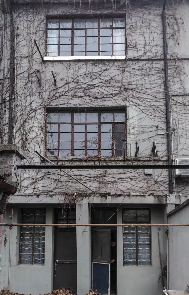 连树都种进房子！71岁高龄老房爆改“回春”，从危房到美宿，不只是惊艳！