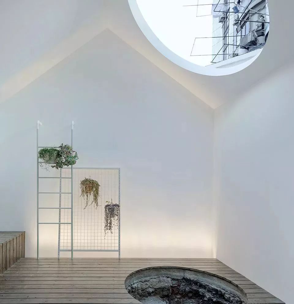 连树都种进房子！71岁高龄老房爆改“回春”，从危房到美宿，不只是惊艳！