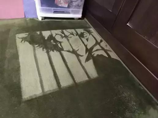 地毯也能作画？这位国外大神将经典动漫角色，都绘于地毯上了！