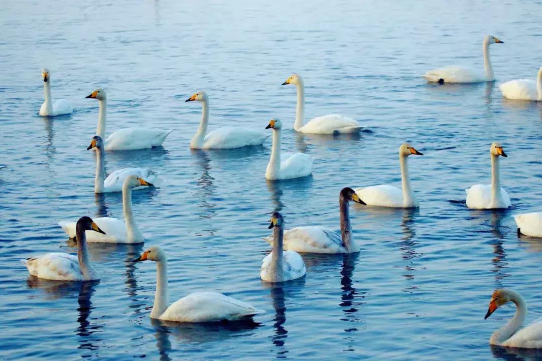 他用对葡园的爱拍出了这片人间仙境