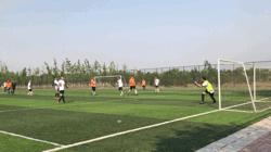 紫禁之巅2020,紫禁之巅199集